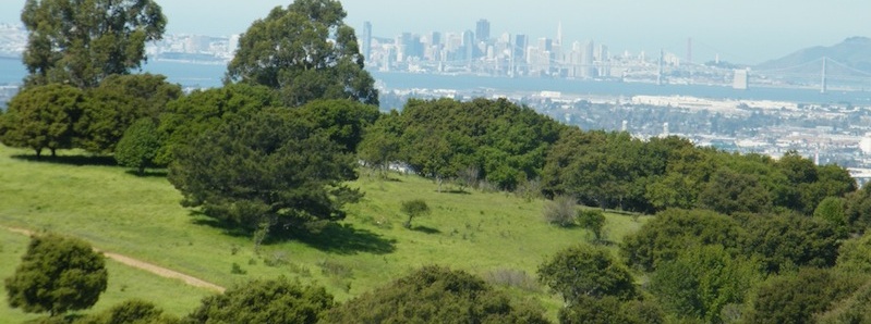 ./RotatingImages/CityViewPanorama.jpg